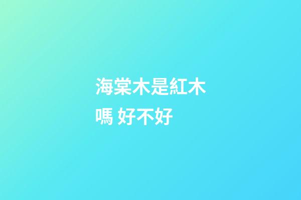 海棠木是紅木嗎 好不好